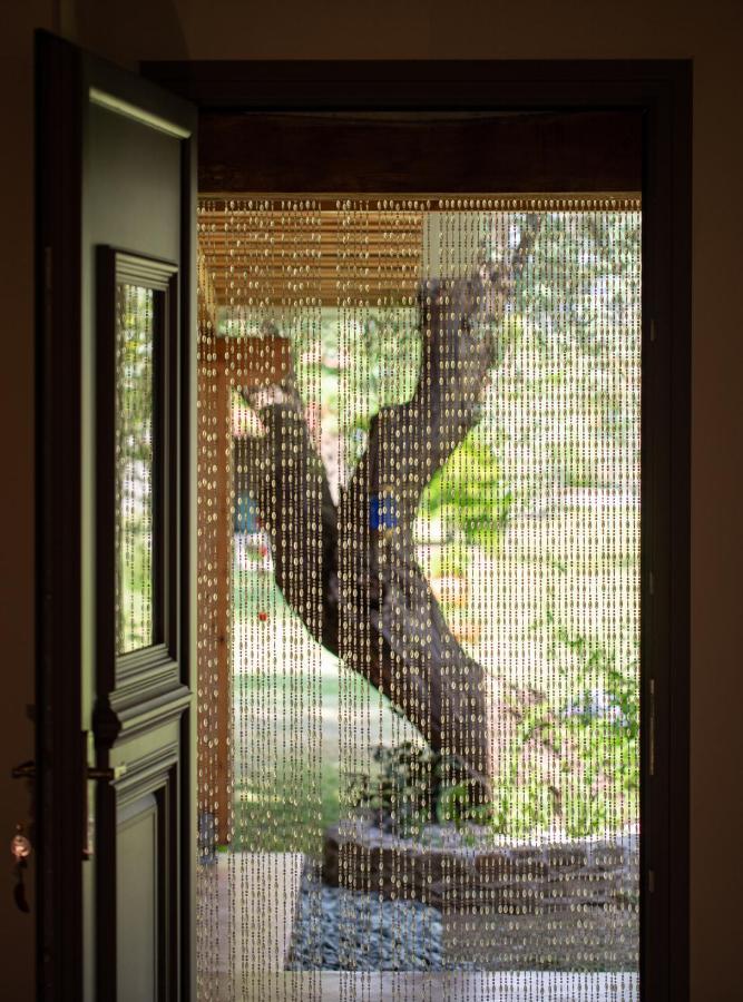 Villa Menie - Golden Fig Sykia Lodge Paralia Sikias Экстерьер фото