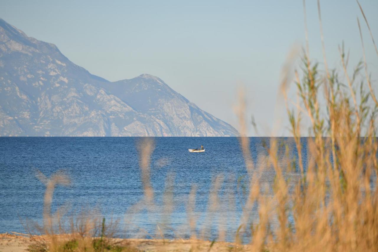 Villa Menie - Golden Fig Sykia Lodge Paralia Sikias Экстерьер фото
