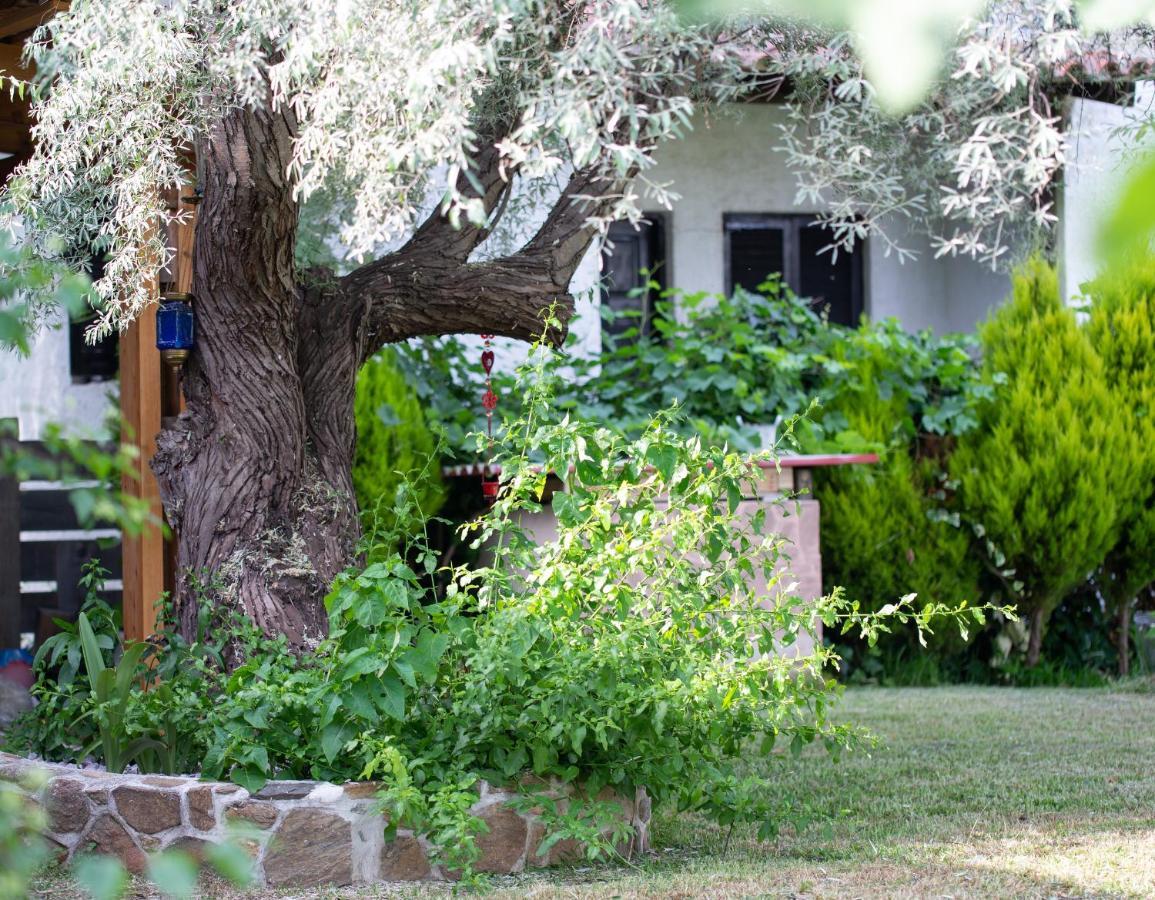 Villa Menie - Golden Fig Sykia Lodge Paralia Sikias Экстерьер фото