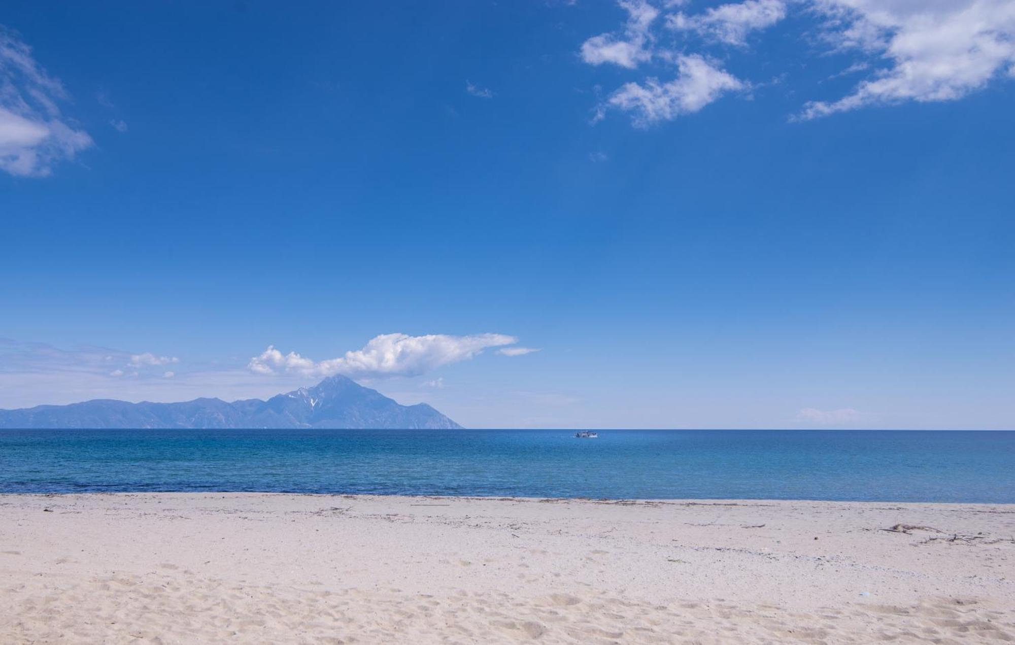 Villa Menie - Golden Fig Sykia Lodge Paralia Sikias Экстерьер фото