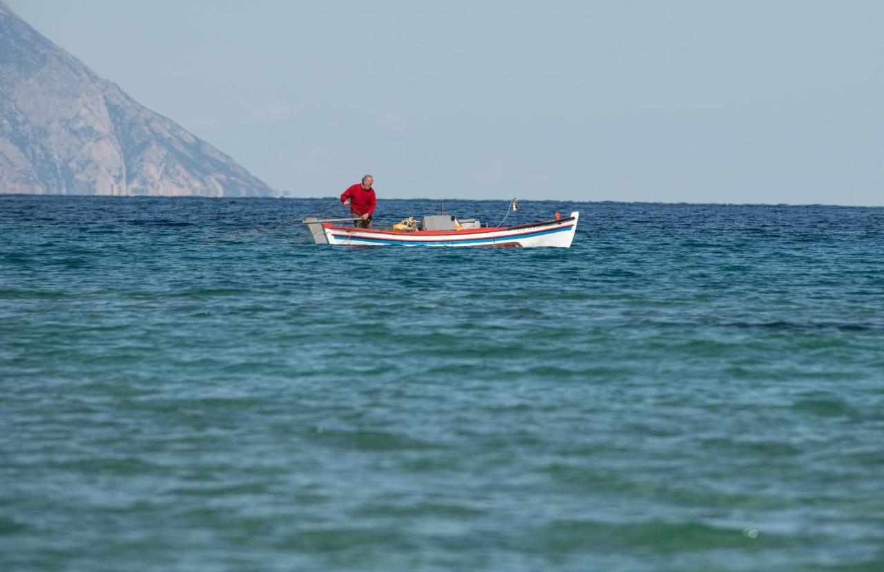 Villa Menie - Golden Fig Sykia Lodge Paralia Sikias Экстерьер фото